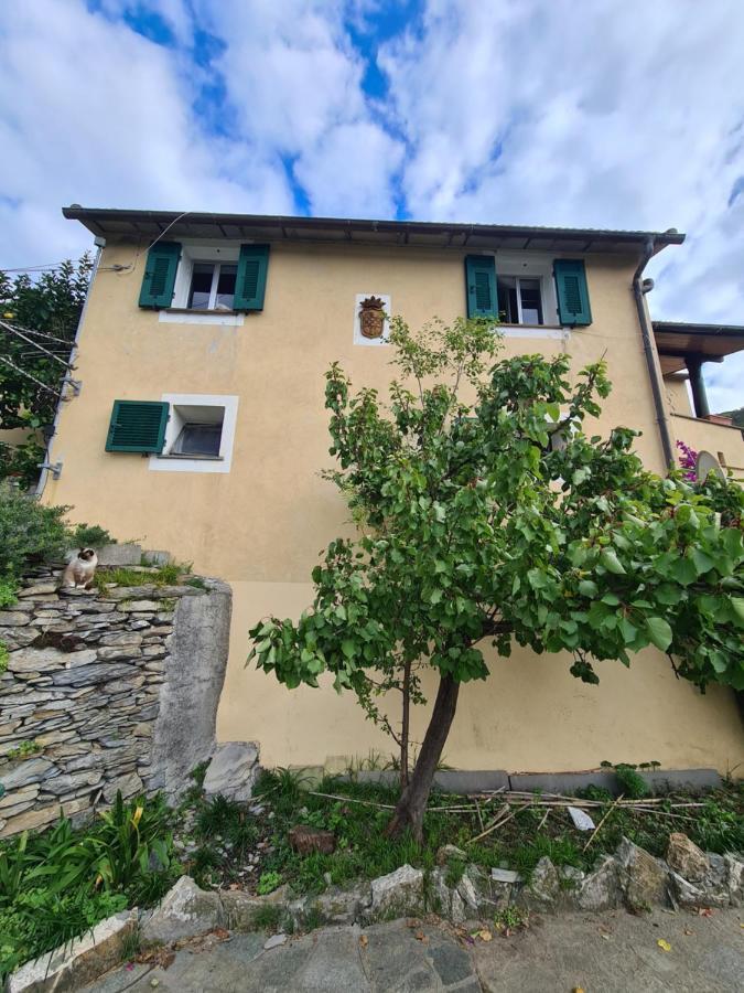 Castrusso Il Frantoio Di Rapallo By Portofinovacanze 外观 照片
