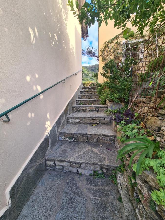 Castrusso Il Frantoio Di Rapallo By Portofinovacanze 外观 照片